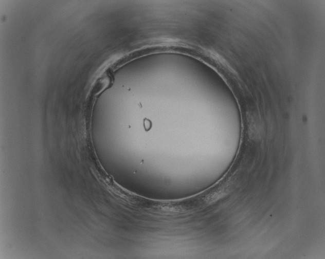 X0000073721318200608171153