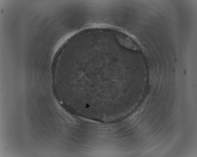 X0000073721319200608171153