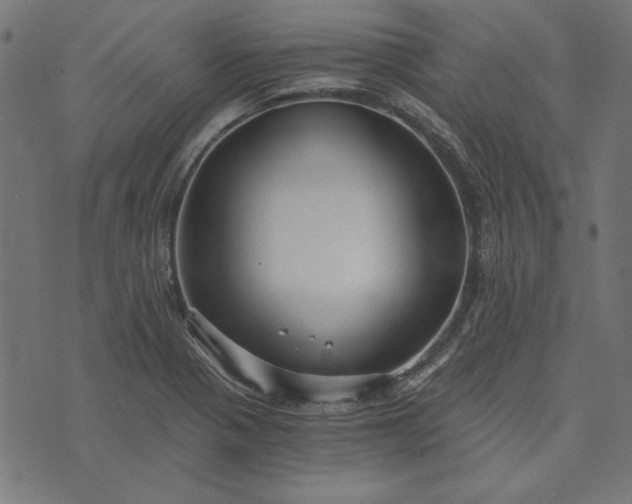 X0000073721321200608171153