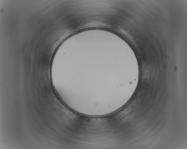 X0000073721322200608171153