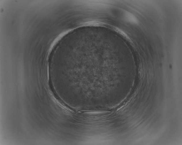 X0000073721323200608171153