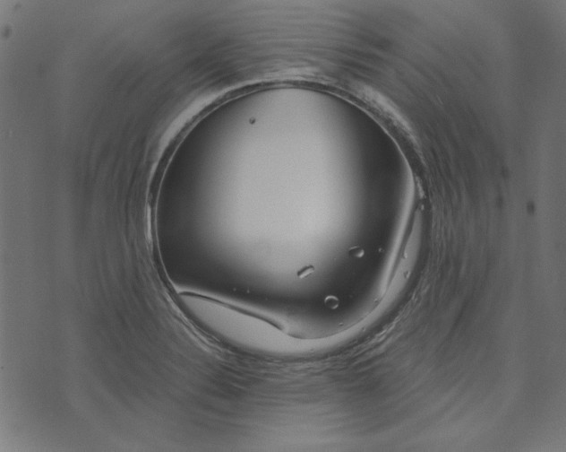 X0000073721324200608171153