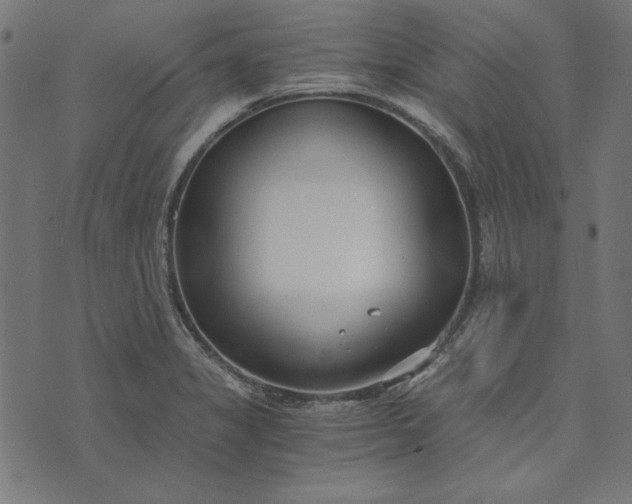 X0000073721325200608171153