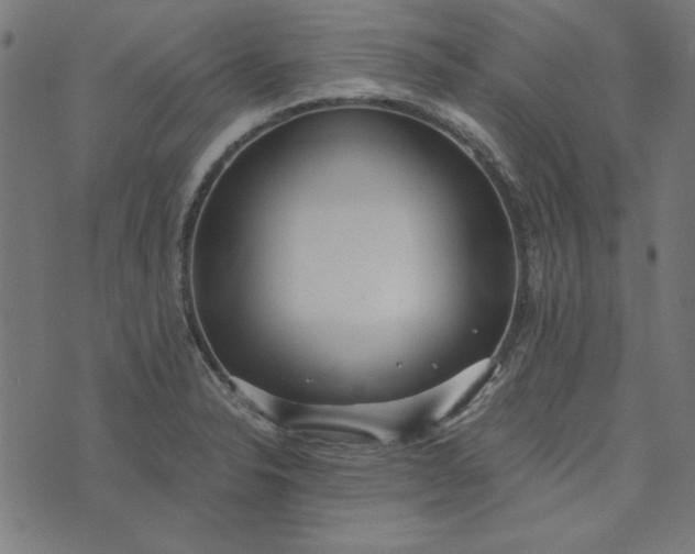 X0000073721326200608171153