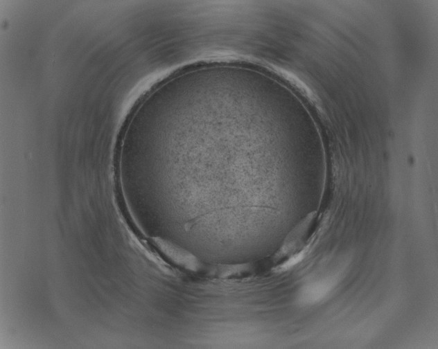 X0000073721327200608171153