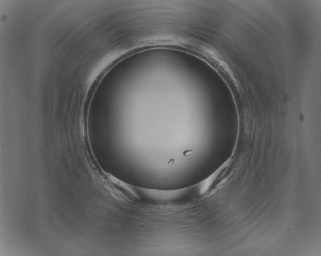 X0000073721328200608171153