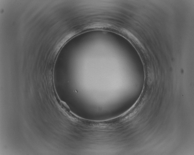 X0000073721329200608171153