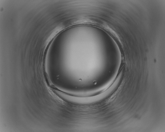 X0000073721330200608171153