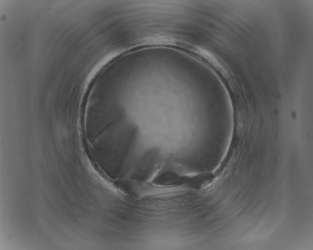 X0000073721331200608171153