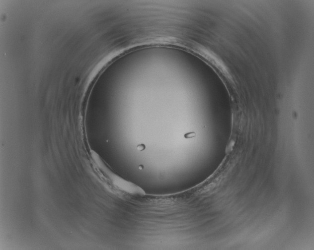 X0000073721332200608171153