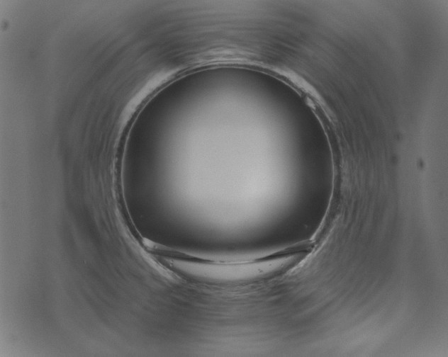 X0000073721333200608171153