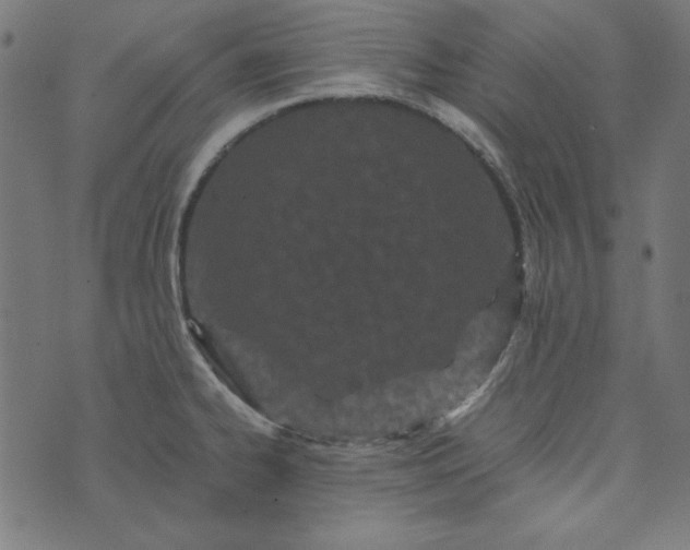 X0000073721334200608171153