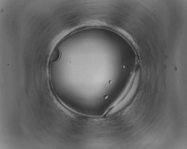 X0000073721335200608171154