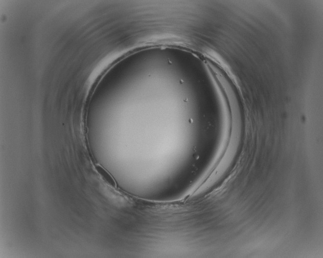 X0000073721336200608171154