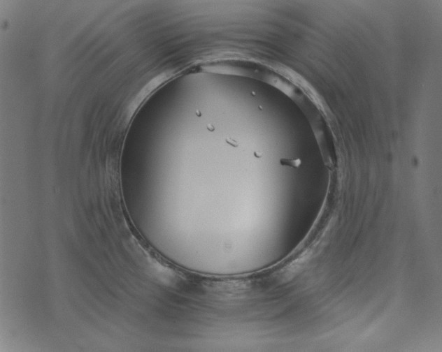 X0000073721337200608171154