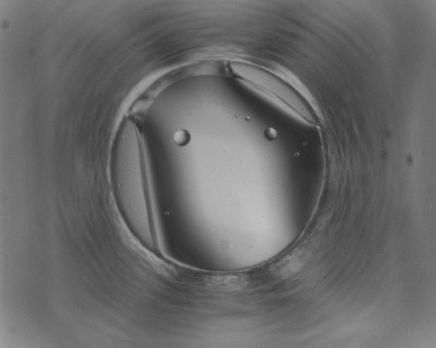 X0000073721339200608171154