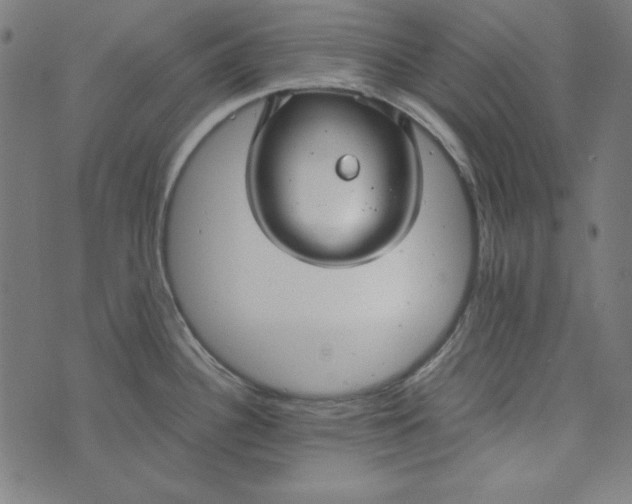 X0000073721340200608171154