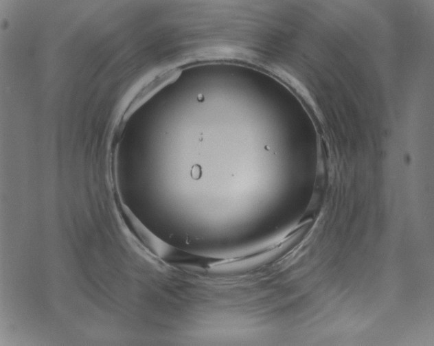 X0000073721342200608171154