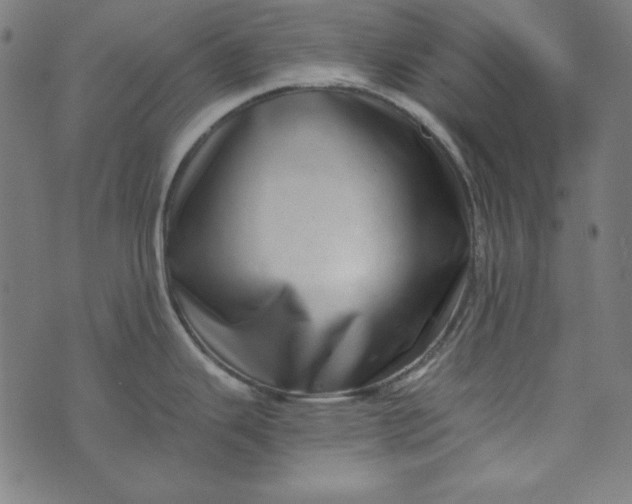 X0000073721343200608171154