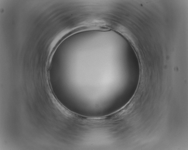 X0000073721344200608171154