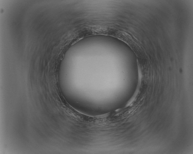 X0000073721345200608171153