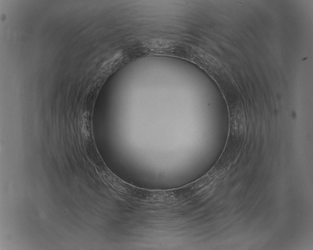 X0000073721346200608171153