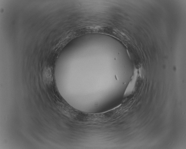 X0000073721347200608171153