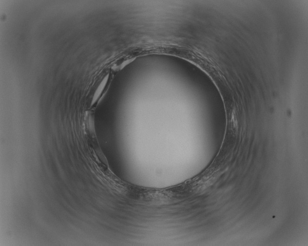 X0000073721348200608171153