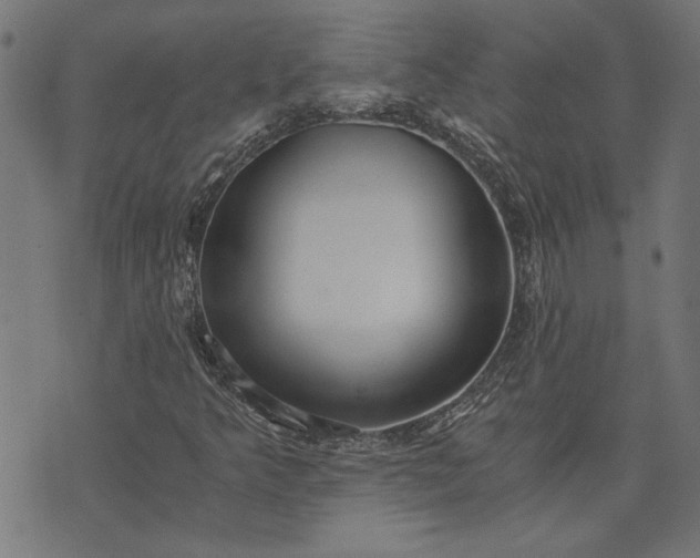 X0000073721349200608171153