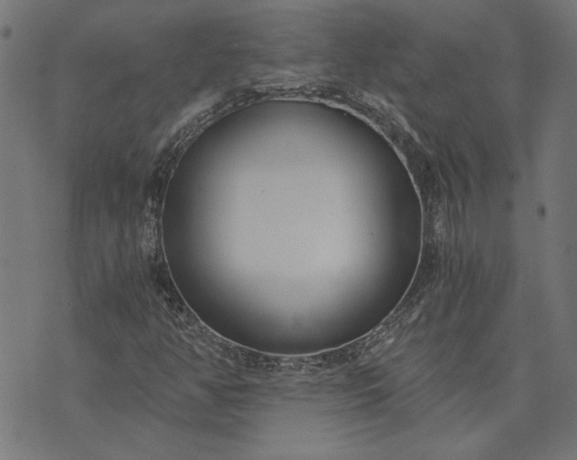 X0000073721350200608171153