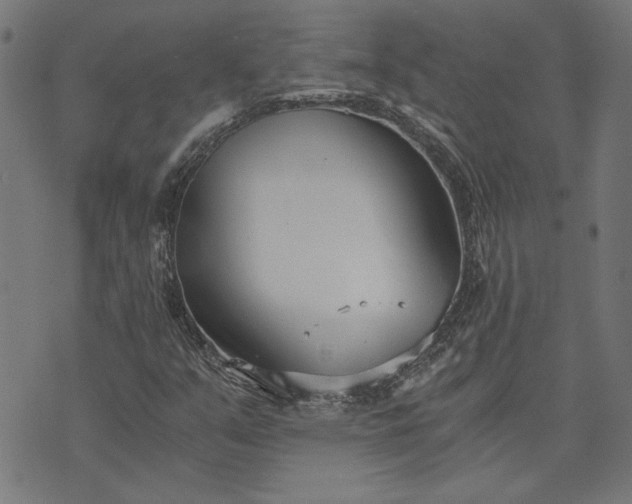 X0000073721351200608171153