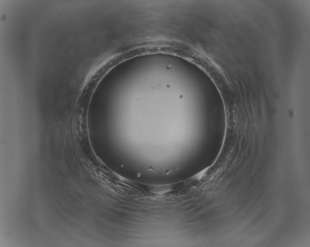 X0000073721352200608171153