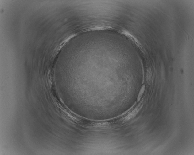 X0000073721353200608171153