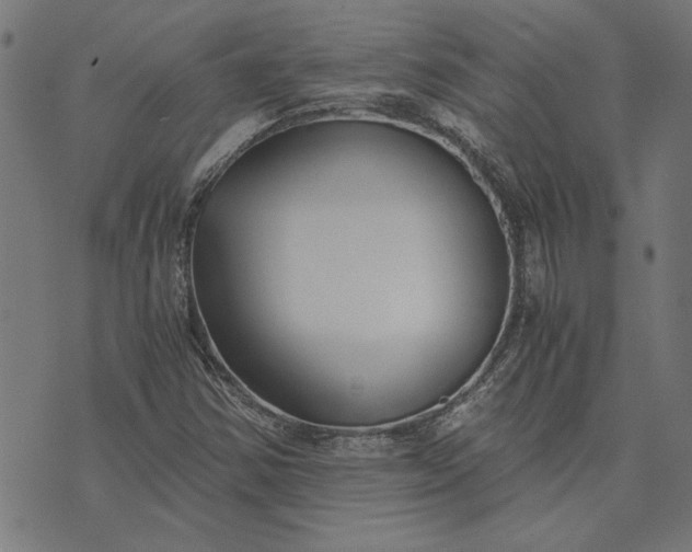 X0000073721354200608171153