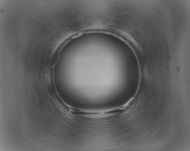 X0000073721356200608171153