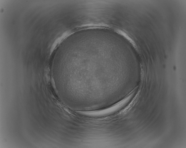 X0000073721357200608171153