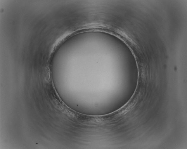 X0000073721358200608171153