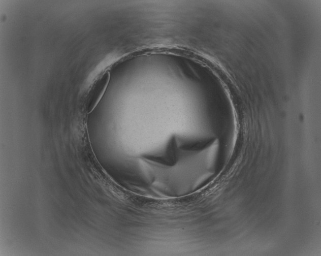 X0000073721359200608171153