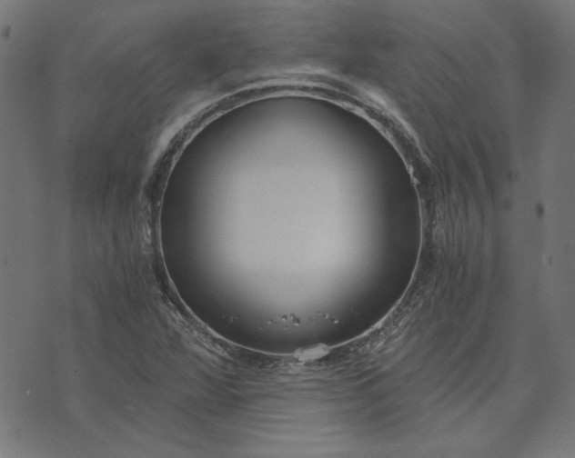 X0000073721360200608171153