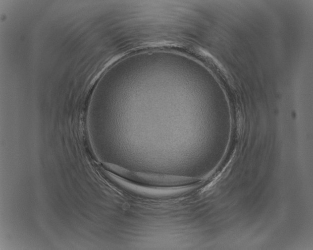 X0000073721361200608171153