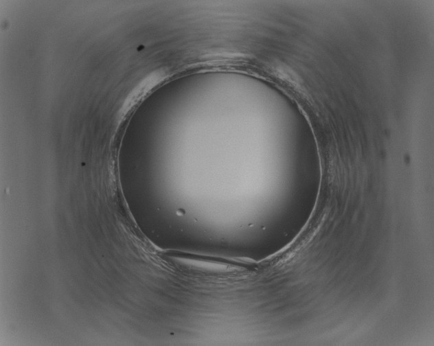 X0000073721362200608171153