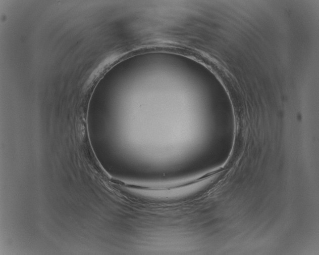 X0000073721363200608171153