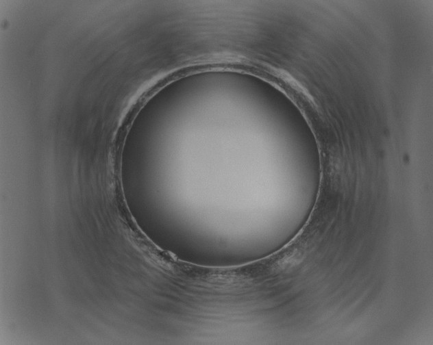 X0000073721364200608171153