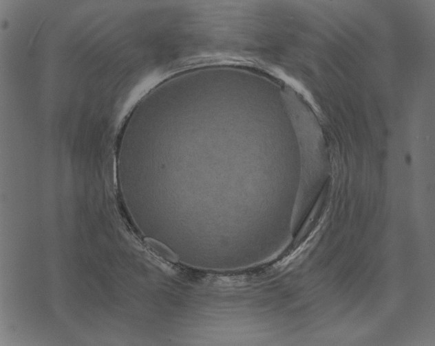 X0000073721365200608171153