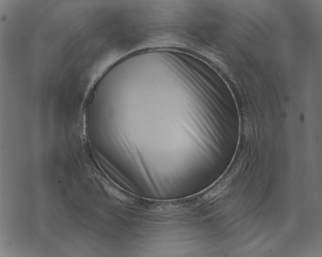 X0000073721366200608171153