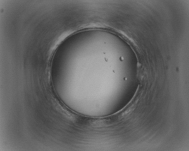 X0000073721367200608171153