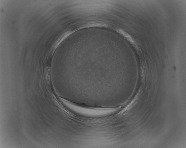 X0000073721369200608171152