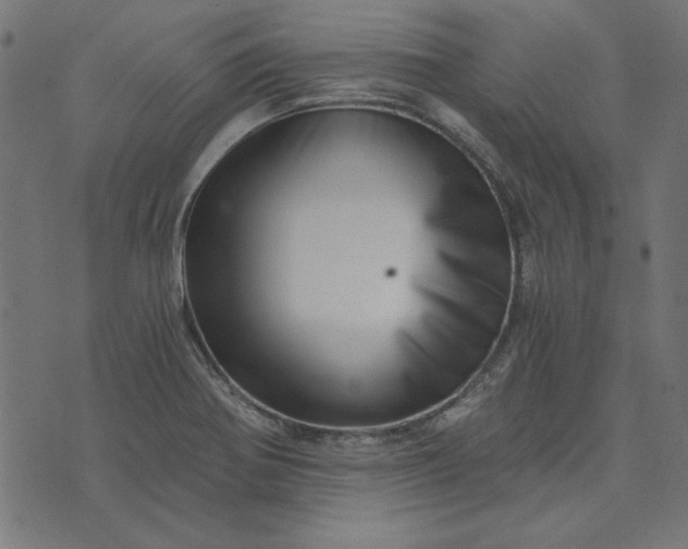 X0000073721370200608171152