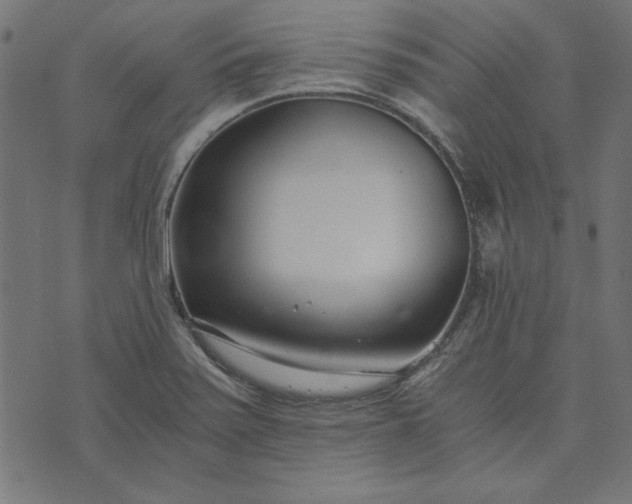 X0000073721371200608171152