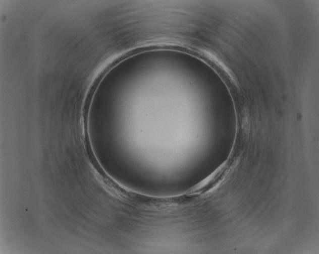 X0000073721372200608171152